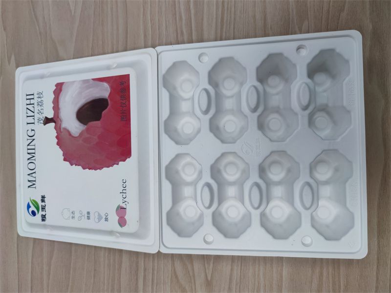中山纸托2